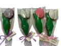 download-removebg-preview.png