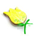 Tulipan